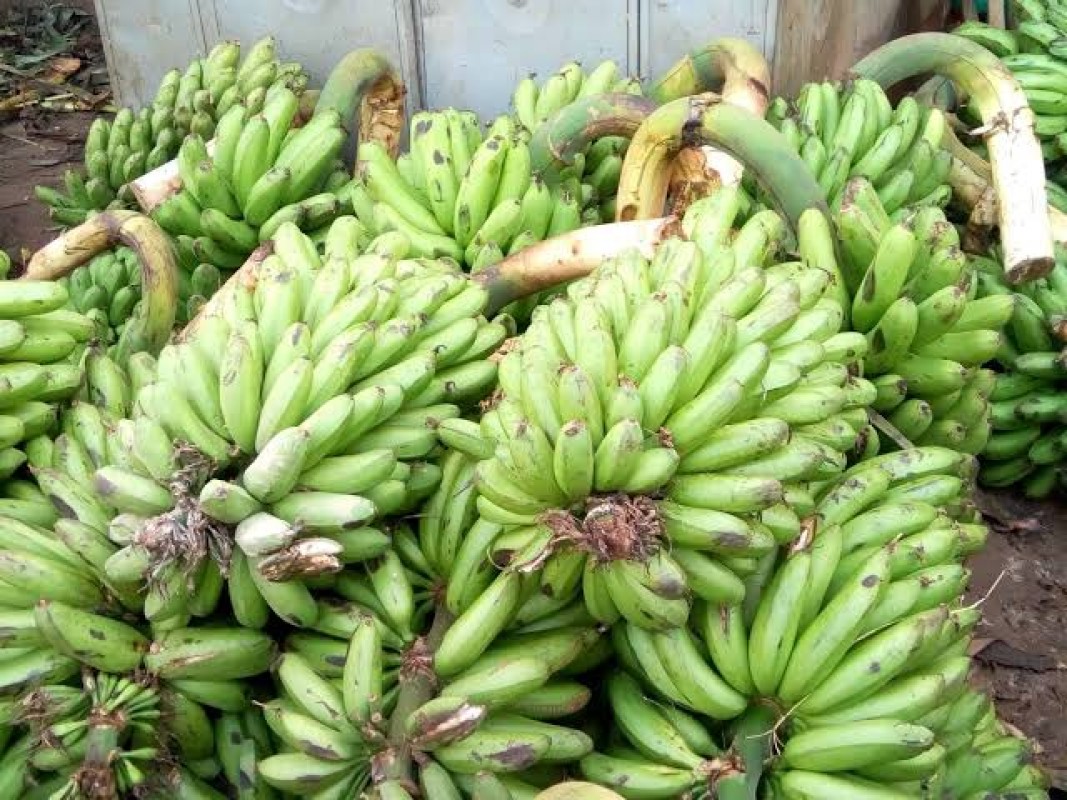 Matooke from Uganda